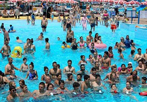 Antalya da sıcaktan bunalan havuza koştu
